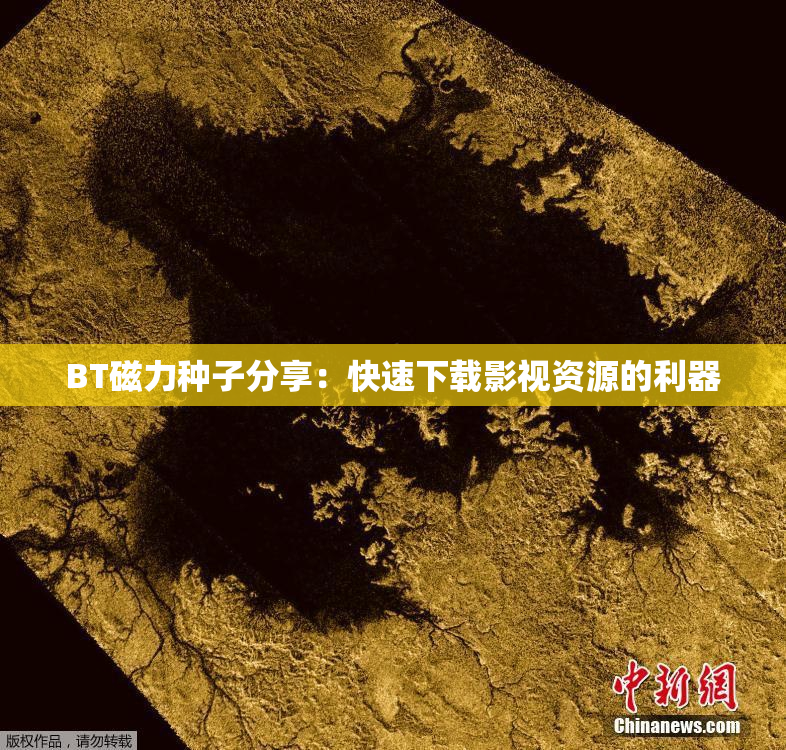 BT磁力种子分享：快速下载影视资源的利器