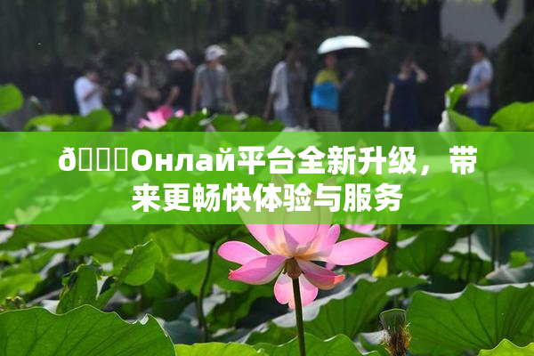 🐔Oнлай平台全新升级，带来更畅快体验与服务