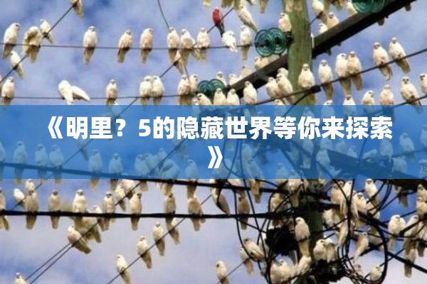 《明里？5的隐藏世界等你来探索》