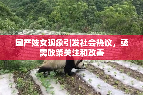 国产妓女现象引发社会热议，亟需政策关注和改善