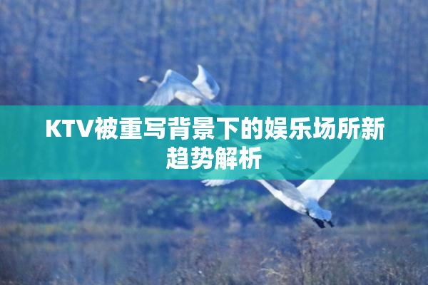 KTV被重写背景下的娱乐场所新趋势解析