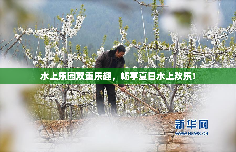 水上乐园双重乐趣，畅享夏日水上欢乐！