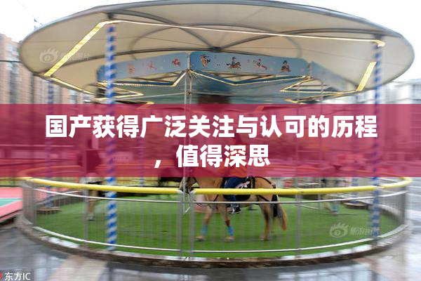 国产获得广泛关注与认可的历程，值得深思