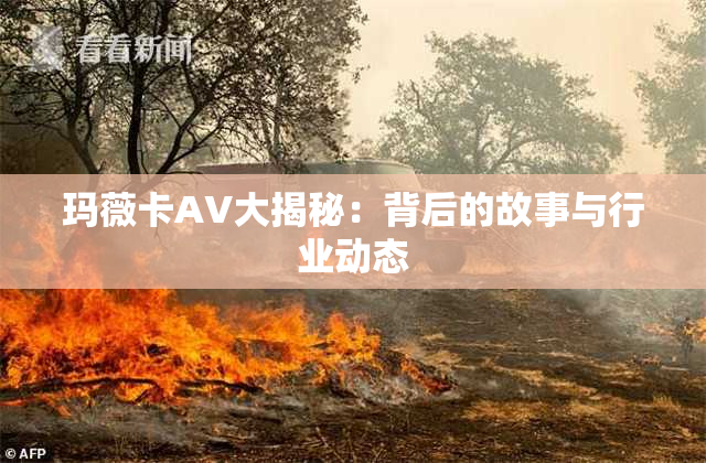 玛薇卡AV大揭秘：背后的故事与行业动态