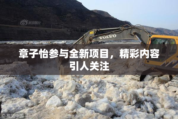 章子怡参与全新项目，精彩内容引人关注