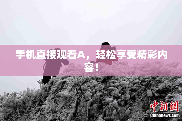 手机直接观看A，轻松享受精彩内容！