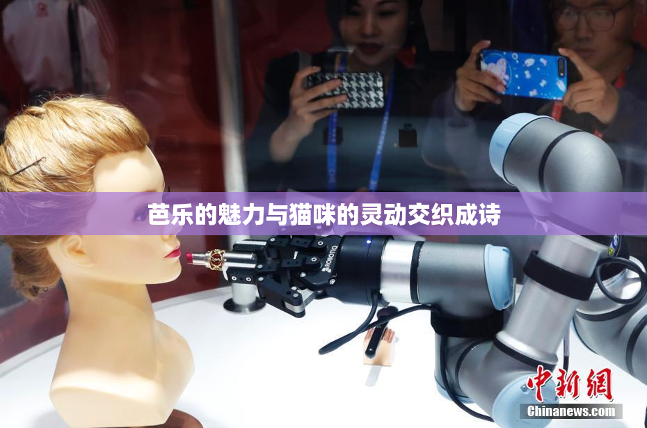 芭乐的魅力与猫咪的灵动交织成诗