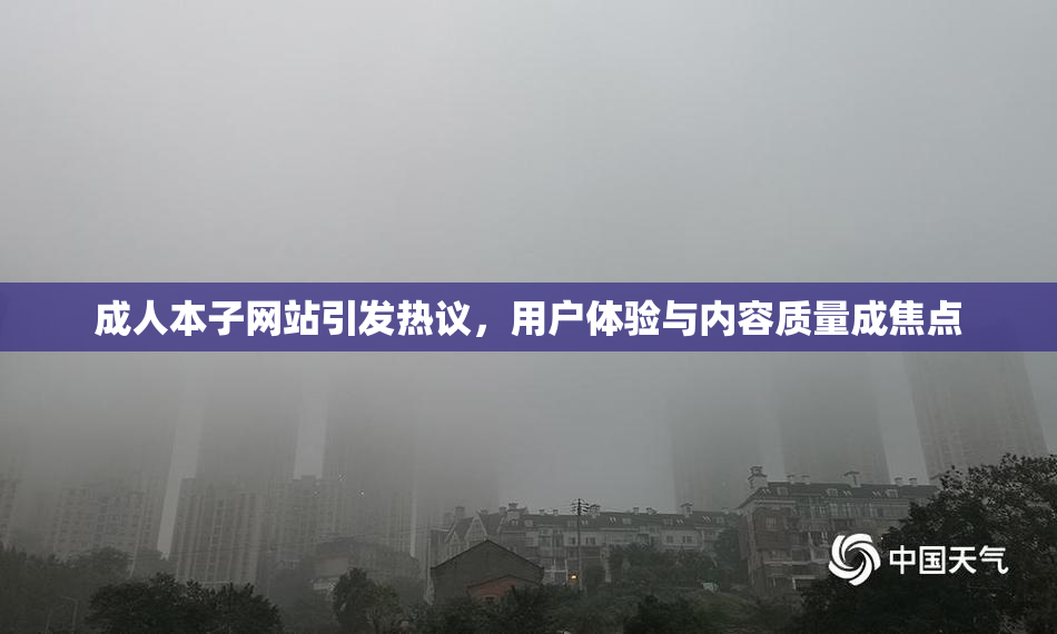 成人本子网站引发热议，用户体验与内容质量成焦点