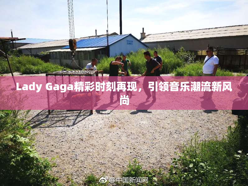 Lady Gaga精彩时刻再现，引领音乐潮流新风尚