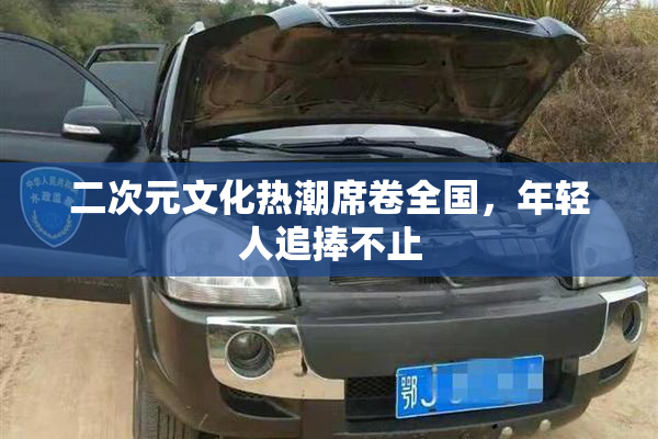 二次元文化热潮席卷全国，年轻人追捧不止