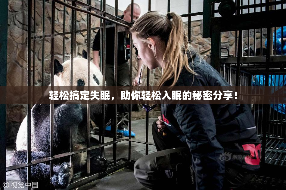 轻松搞定失眠，助你轻松入眠的秘密分享！