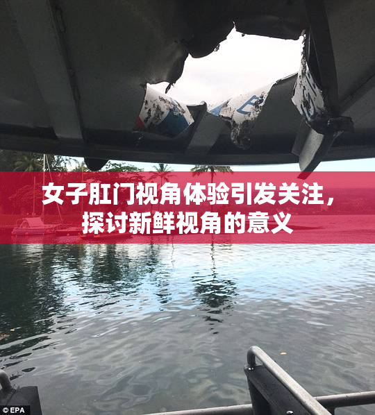 女子肛门视角体验引发关注，探讨新鲜视角的意义