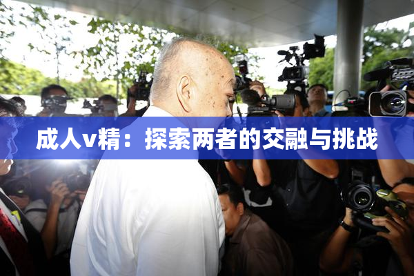 成人v精：探索两者的交融与挑战