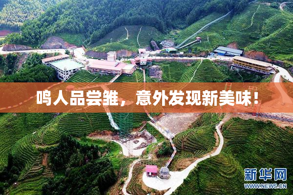 鸣人品尝雏，意外发现新美味！