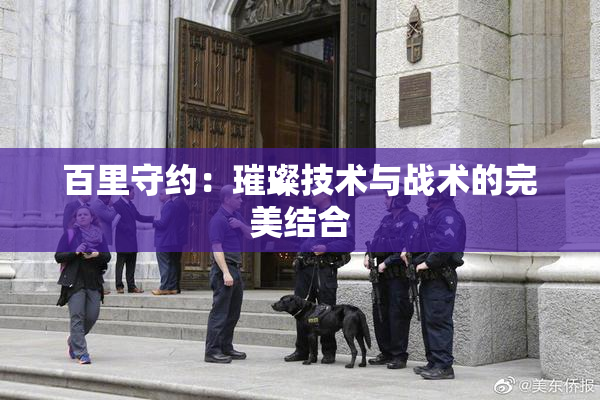 百里守约：璀璨技术与战术的完美结合