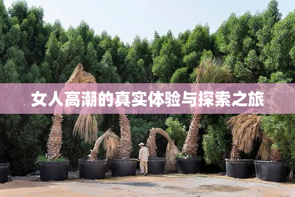 女人高潮的真实体验与探索之旅