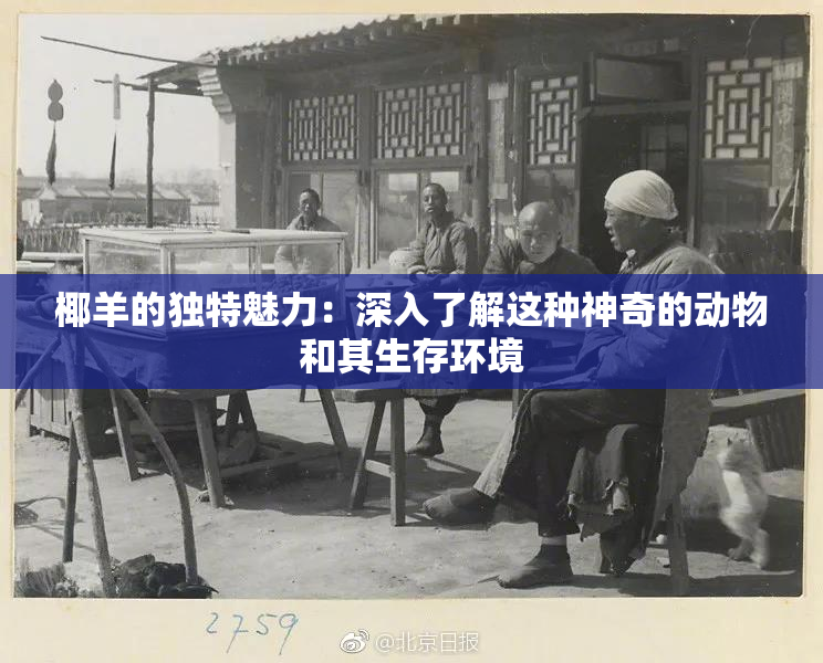 椰羊的独特魅力：深入了解这种神奇的动物和其生存环境