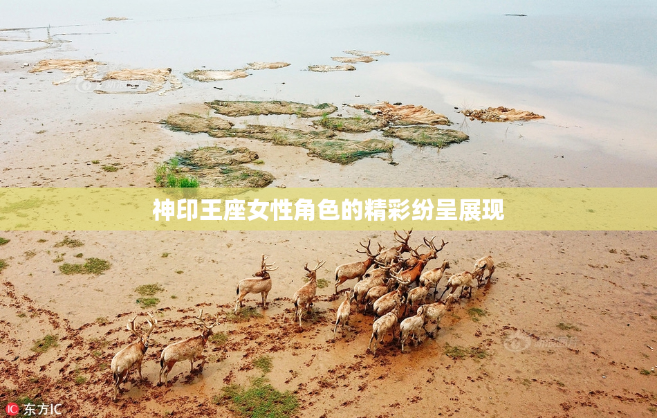 神印王座女性角色的精彩纷呈展现