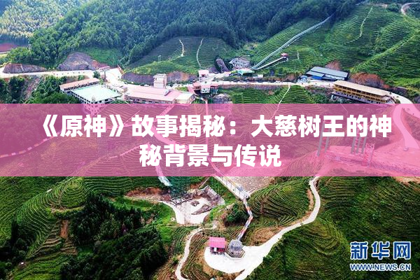 《原神》故事揭秘：大慈树王的神秘背景与传说