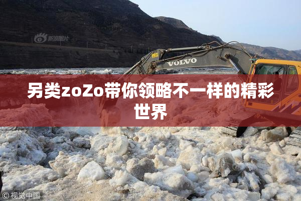 另类zoZo带你领略不一样的精彩世界