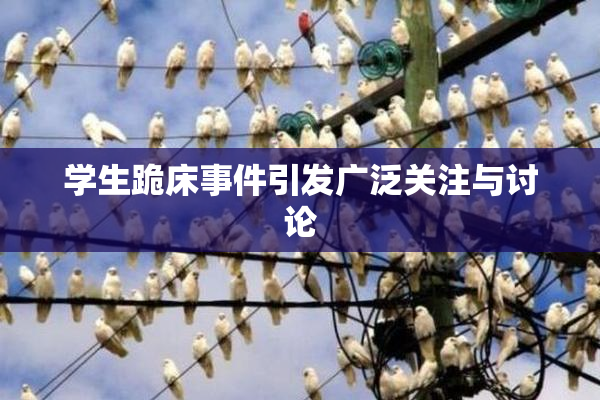 学生跪床事件引发广泛关注与讨论