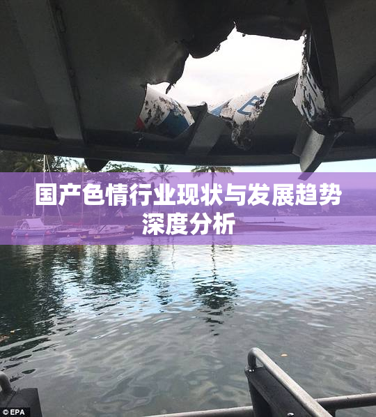 国产色情行业现状与发展趋势深度分析