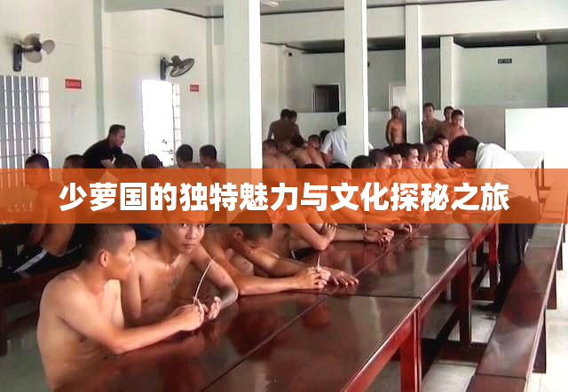 少萝国的独特魅力与文化探秘之旅