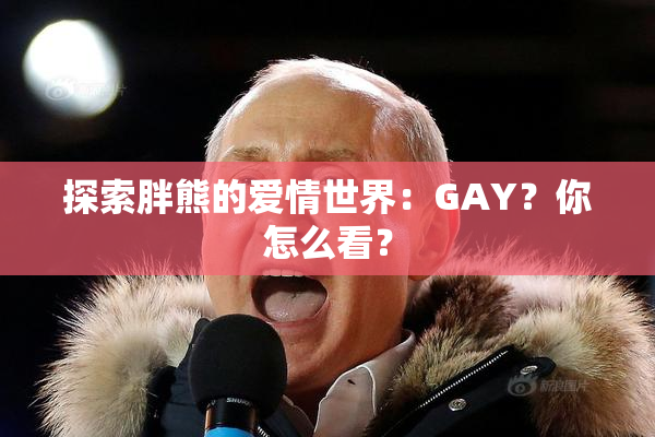 探索胖熊的爱情世界：GAY？你怎么看？