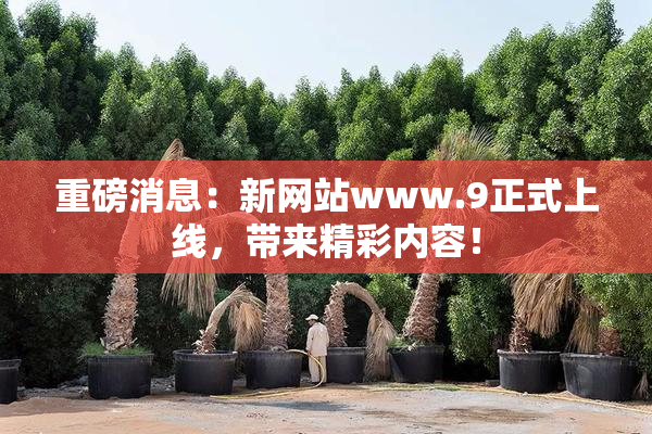 重磅消息：新网站www.9正式上线，带来精彩内容！