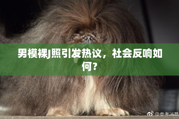 男模裸J照引发热议，社会反响如何？