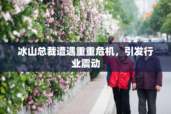 冰山总裁遭遇重重危机，引发行业震动