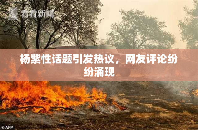 杨紫性话题引发热议，网友评论纷纷涌现
