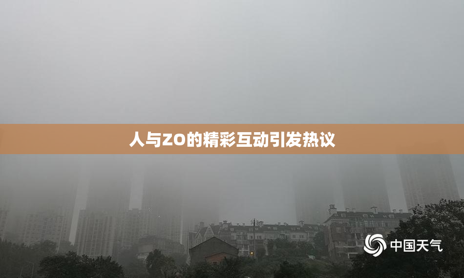 人与ZO的精彩互动引发热议