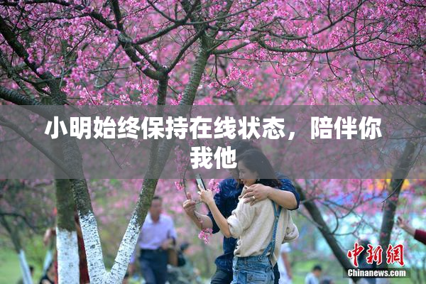 小明始终保持在线状态，陪伴你我他
