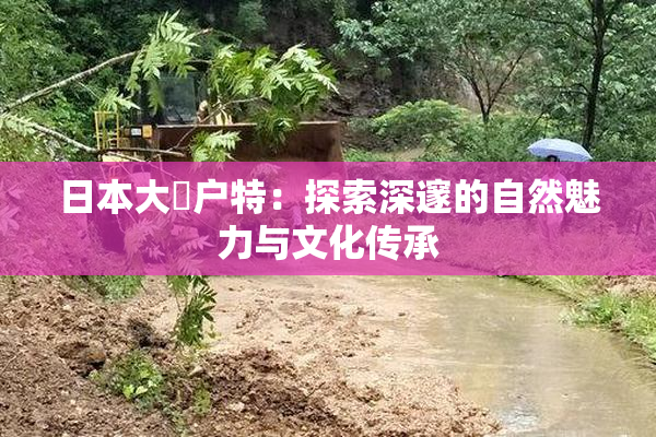 日本大隂户特：探索深邃的自然魅力与文化传承