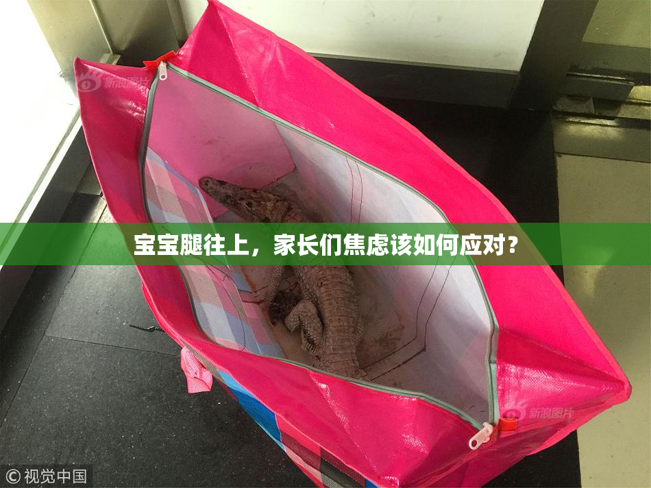 宝宝腿往上，家长们焦虑该如何应对？