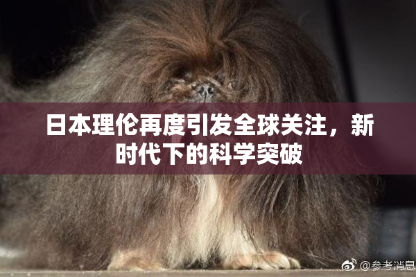 日本理伦再度引发全球关注，新时代下的科学突破
