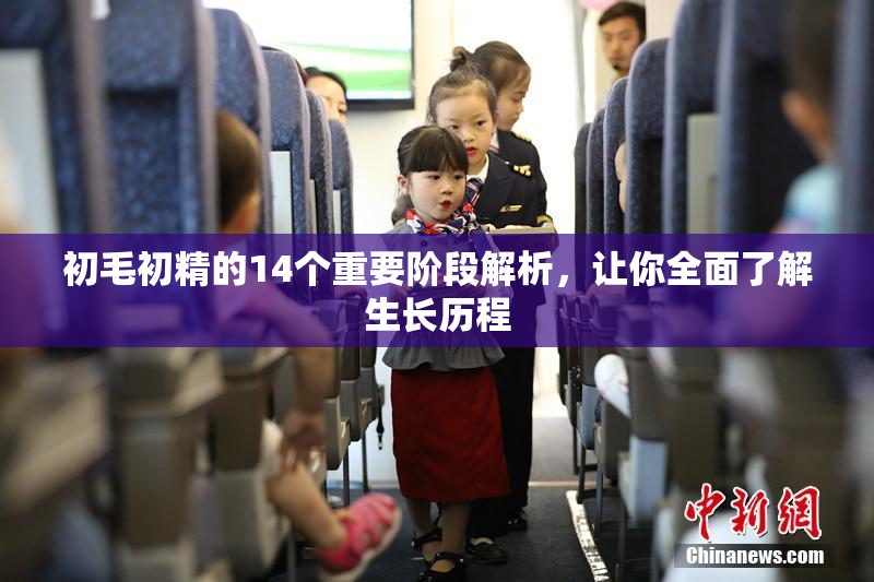 初毛初精的14个重要阶段解析，让你全面了解生长历程