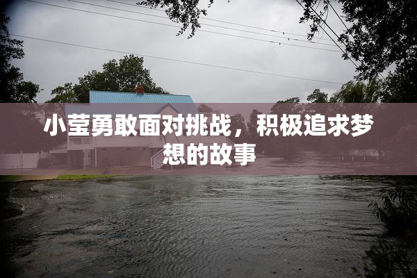 小莹勇敢面对挑战，积极追求梦想的故事