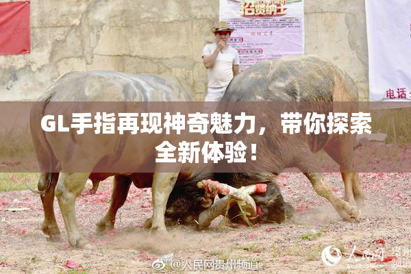 GL手指再现神奇魅力，带你探索全新体验！