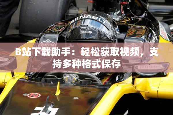 B站下载助手：轻松获取视频，支持多种格式保存