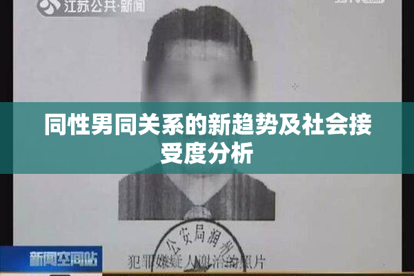 同性男同关系的新趋势及社会接受度分析