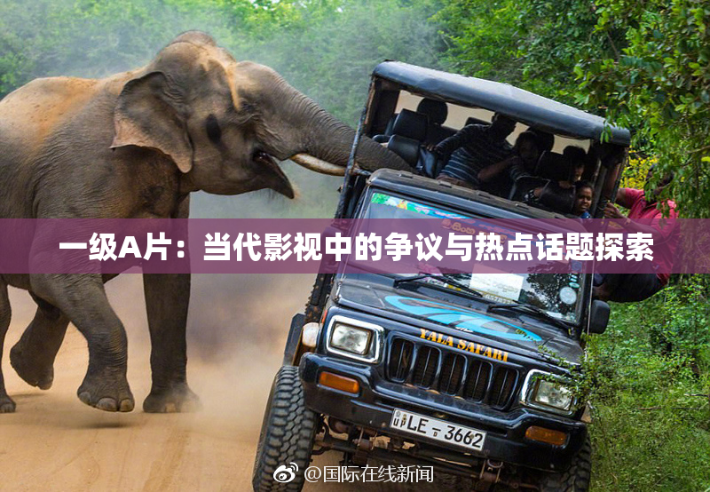 一级A片：当代影视中的争议与热点话题探索