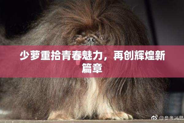 少萝重拾青春魅力，再创辉煌新篇章