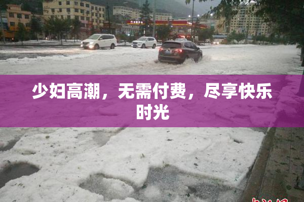 少妇高潮，无需付费，尽享快乐时光