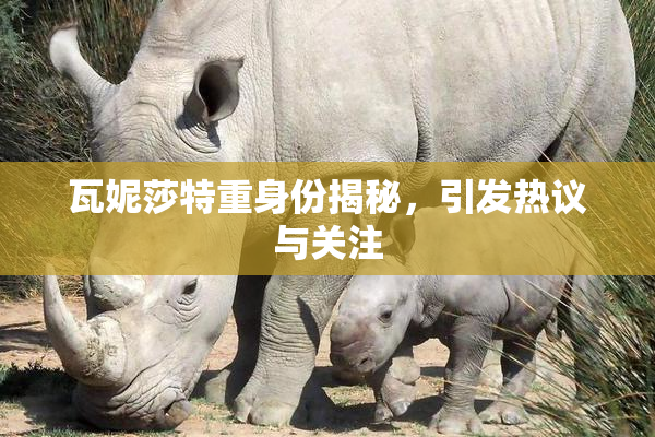 瓦妮莎特重身份揭秘，引发热议与关注