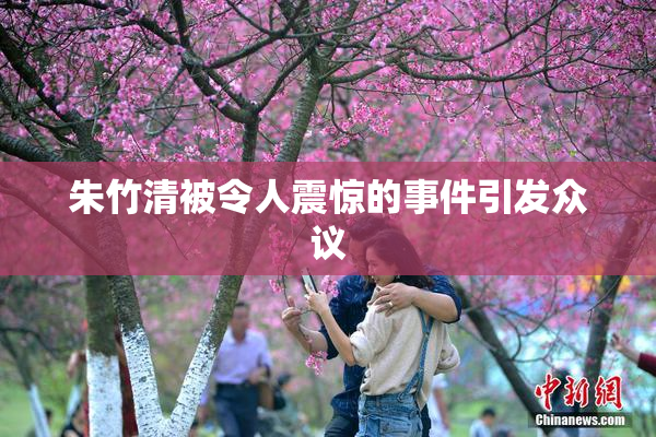 朱竹清被令人震惊的事件引发众议