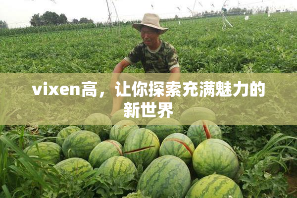 vixen高，让你探索充满魅力的新世界