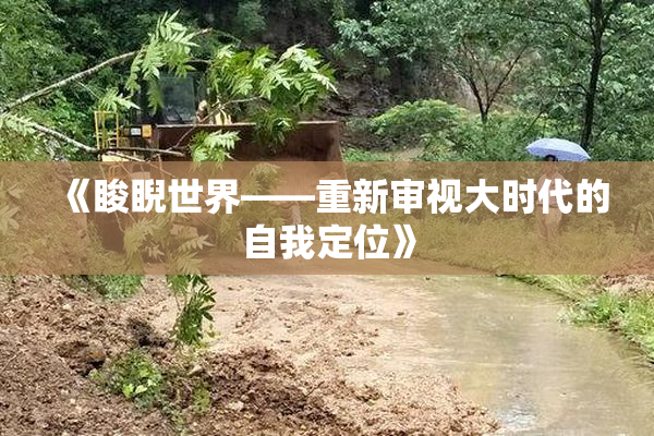 《睃睨世界——重新审视大时代的自我定位》