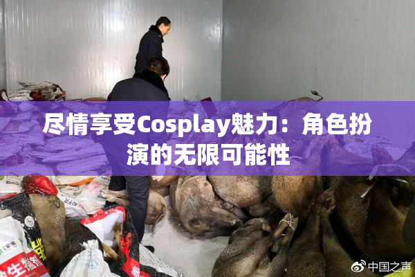 尽情享受Cosplay魅力：角色扮演的无限可能性